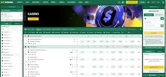 Comprehensive Guide to BetWinner France Your Ultimate Betting Experience