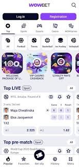Спорттық ставкалар Табысты табыс үшін қалай дұрыс ставкалар жасау керек
