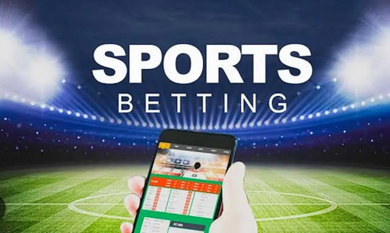 Everything You Need to Know About Betwinner 4